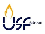 Logo USF
